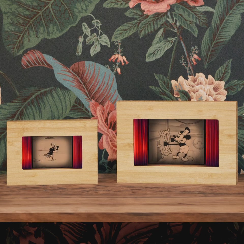 Steamboat Willie, Bamboo Edition | Infinite Objects